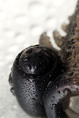 Насадка Toyfa XLover, для увеличения размера с кольцом и вибрацией, TPE, черная, 14.5 см  фото 10