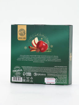 Подарочный набор новогодний Ароматы праздника, гель для душа, яблоко, 100 мл и носки, URAL LAB