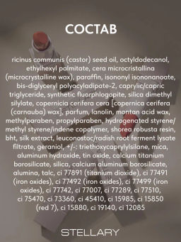 Stellary Помада для губ Устойчивая RICH NUDE тон 06 cappuccino фото 7