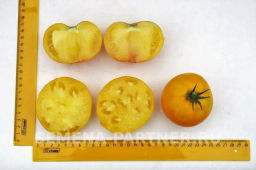 Томат Азоюшка - Партнер фото 3