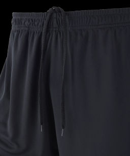 Шорты судейские JOGEL Referee shots, черный  фото 4