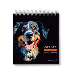 Светоч А306 Артбук (Скетчбук), блок чёрный, жесткая подложка, 120 г/м2 166*175 мм на гребне 30 л. 2 шт. Берн 01940