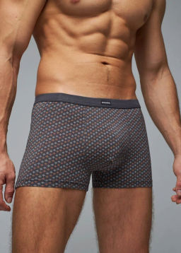 Трусы мужские боксеры Rogers 83147 модал, эластан размеры M, L, XL, 2XL  фото 7