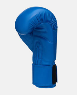 Перчатки боксерские INSANE RBF IN25-BG600, синий, 12 oz