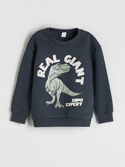 Bisiklet Yaka Dinozor Bask?l? Erkek ?ocuk Sweatshirt ve E?ofman Alt? 2li Tak?m