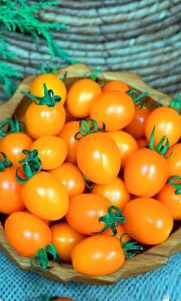 Томат КАРАТ Многоплодный! Сахарный! Не болеет! Плоды не трескаются! Дети, внуки скажут вам спасибо за такую вкуснятину!