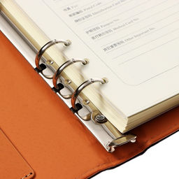 Органайзер на кольцах А5, 90 листов в линейку, с хлястиком, МИКС - Calligrata фото 34