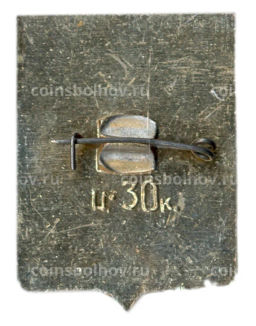 Значок Новосибирск