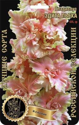 Гладиолус Эдита Пьеха 535,Кузнецов 2 р-р 7шт (Ф)