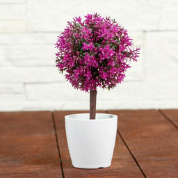 Искусственный цветок в горшке «Цветные листочки», 18 см, МИКС