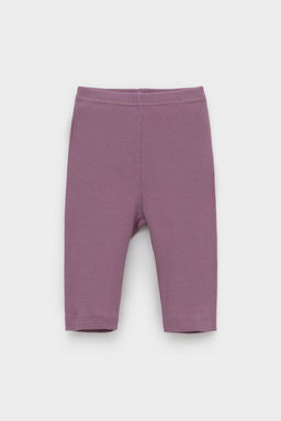 Crockid _ КР 400556/темная орхидея к553 шорты (велосипедки) для дев