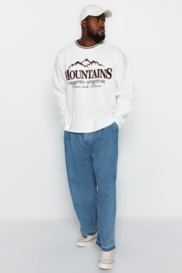 Ekru Buyuk Beden Oversize Nak?sl? Bisiklet Yaka Detayl? Ici Yumusak Pamuk Sweatshirt TMNAW24AO00022 - Trendyolmilla фото 3