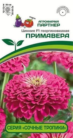 3375P Цинния F1 ПРИМАВЕРА / георгиновидная 4шт