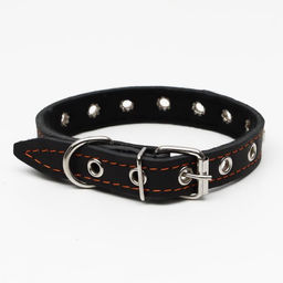 Ошейник кожаный на синтепоне украшенный, безразмерный, 47 х 2 см, ОШ 28-39 см, чёрный - Пижон фото 2