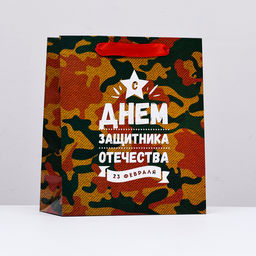 Цена за 2 шт. Пакет подарочный ламинированный вертикальный 23 февраля, 23?27?11.5 см