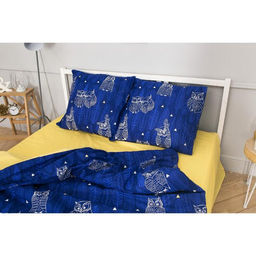 Постельное бельё Этель дуэт Ушастые совы (вид 3) 143 х 215 см - 2 шт., 220 х 240 см, 70 х 70 см - 2 шт  фото 2