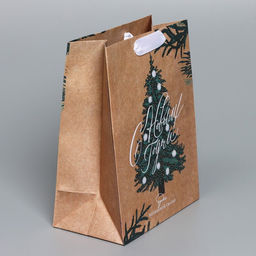 Цена за 3 шт. Пакет подарочный новогодний крафтовый «Winter», MS 18×23×10 см