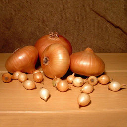 5738d1984518385523b1397df32688d21nij7c09ulzs8krjy