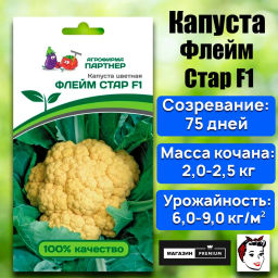 Капуста цветная Флейм Стар (желто-оранжевый) - Партнер фото 8