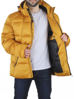 6266L GOLD Куртка зимняя мужская (био-пух)