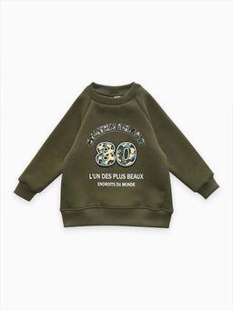 Толстовка футер начёс "Стейн" 30104