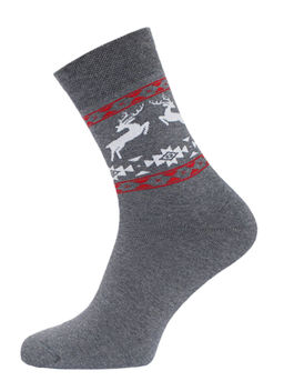 Цена за 2 пары. Носки мужские Брестские НОСКИ МУЖСКИЕ ARCTIC 2424 (махровые)