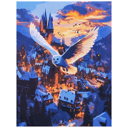 Холст с красками 30x40 по номерам "Сова над зимним городом" в коробке (30цв.)