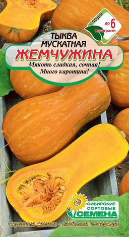 Жемчужина тыква 1гр (ссс) Р