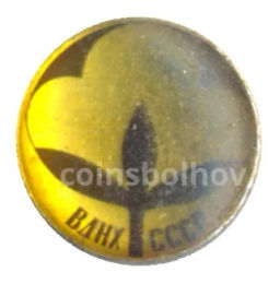 Значок ВДНХ СССР