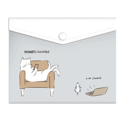 Папка для документов пластиковая Феникс+, арт. 69035/ 12 ПРОКОСТИНАЦИЯ (полипропилен, формат А6, 17х