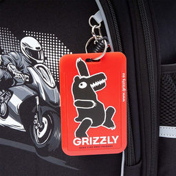 RAz-587-15 Рюкзак школьный - Grizzly фото 50