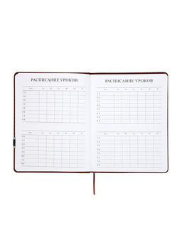 Дневник школьный 1-11 класс, лассе, обложка искуственная кожа коричневая, с хляст, с ручкой   109690