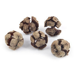 Blumentag PIF-10 Шишки кипариса d. 2.5 см 1 5 шт. 15 г 5 г 01