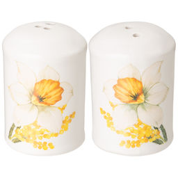 НАБОР ДЛЯ СПЕЦИЙ AGNESS SUNDAY 2ПР. 4,5*6,5 СМ