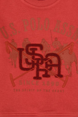 Erkek _ocuk G_l Kurusu Bisiklet Yaka Sweatshirt - U.s. polo assn фото 3