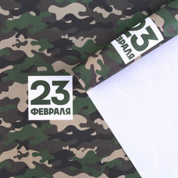 Цена за 10 шт. Бумага упаковочная крафтовая белая 23 февраля хаки, 50?70 см