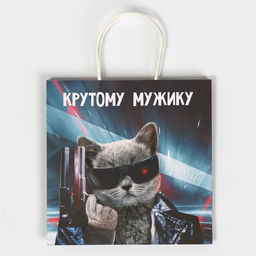 Пакет подарочный Мужику, 22 х 22 х 11 см - Дарите счастье фото 6