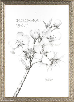 Фоторамка 21х30 / 1606C-114A /уп10 ,ф