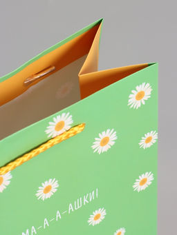 Пакет подарочный ламинированный «Ромашки - обнимашки», 18×22.3×10 см