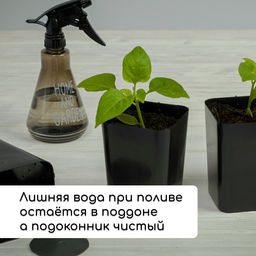 Набор для рассады: стаканы по 500 мл (10 шт.), поддон 40×19.5 см, МИКС, Greengo