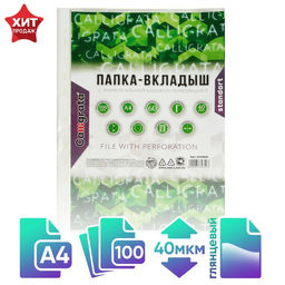 Файл - вкладыш Calligrata, А4, 40 мкм, глянцевый, вертикальный, 100 штук