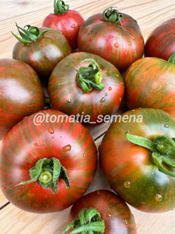 Гном Эндис Форти НОВИНКА 2025 года!