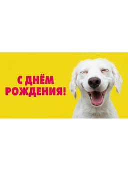 Цена за 5 шт. Конверт для денег Dream Cards "С Днем Рождения!" (1-11-0161) "Собачка улыбается", уф-лак