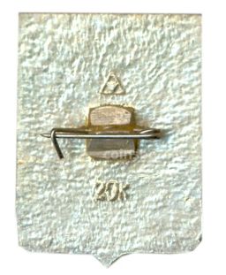 Значок Кострома