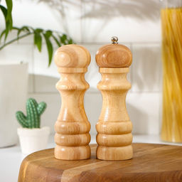 Набор для специй Доляна «Комфорт», 2 предмета: мельница и солонка, бежевый