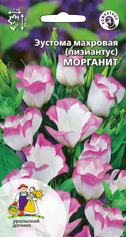 Эустома махровая (лизантус) МОРГАНИТ