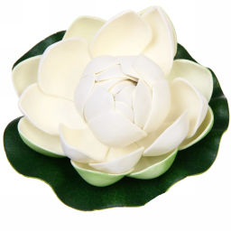 Цена за 5 шт. Растение водоплавающее "Кувшинка Розитта" d-10см белая