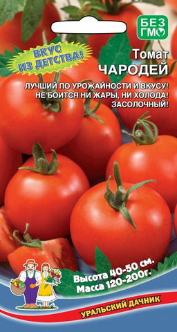 Томат ЧАРОДЕЙ Вкус из детства! Не боится ни жары, ни холода! Плоды не трескаются! Для засолки и консервирования!