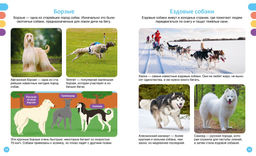 Любимые питомцы. Рени П. - Махаон фото 6