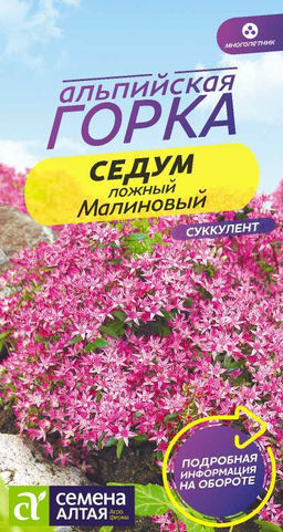 Цветы Седум Малиновый/Сем Алт/цп 0,01гр. многолетник Альпийская горка